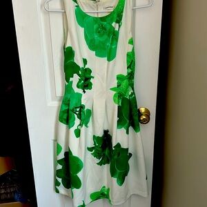 Calvin Klein Structured Shamrock Dress